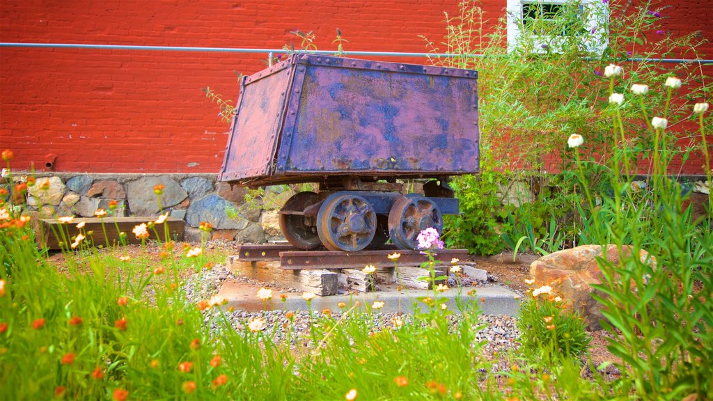 Weaverville showing wildflowers and heritage elements