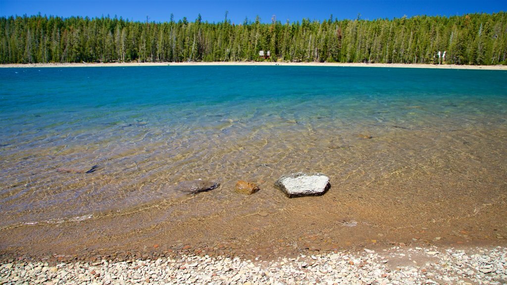 Juniper Lake que incluye un lago o espejo de agua y una playa de piedras