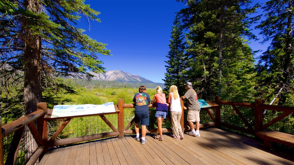 Taylor Creek Visitor Center showing tranquil scenes and views as well as a small group of people