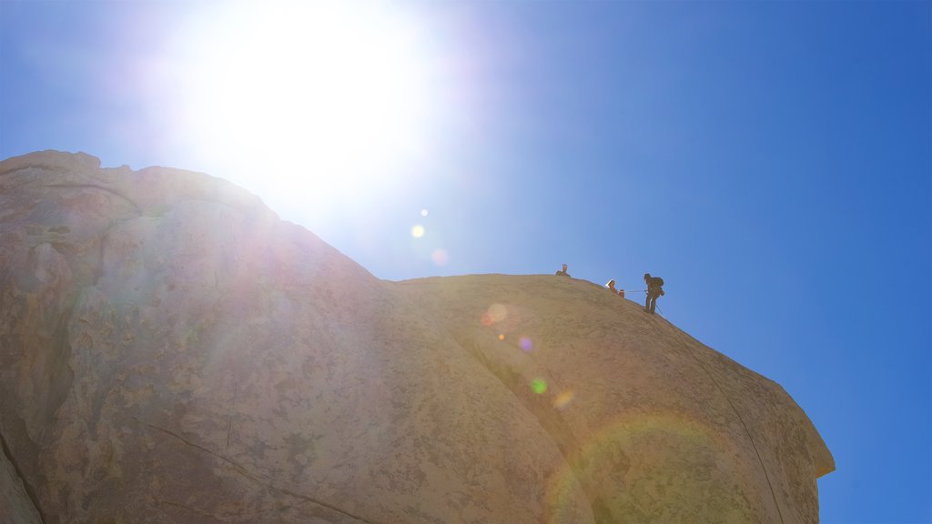 Parque Nacional de Joshua Tree mostrando escalada assim como um pequeno grupo de pessoas