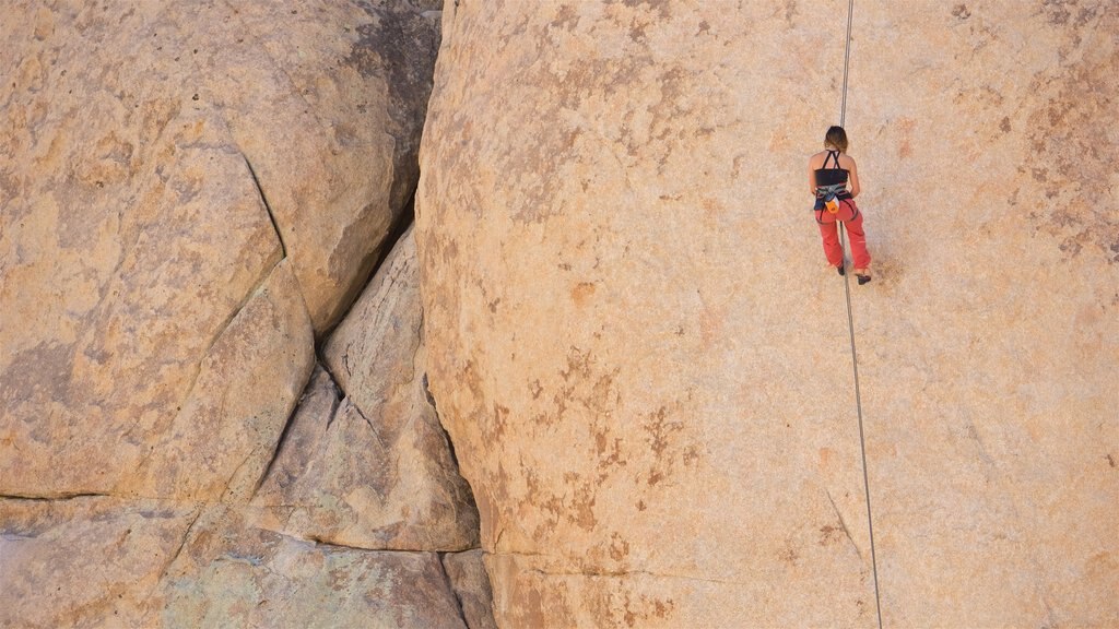 Parque Nacional de Joshua Tree mostrando escalada assim como uma mulher sozinha