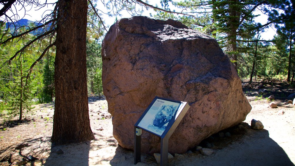 Mill Creek featuring signage and forests