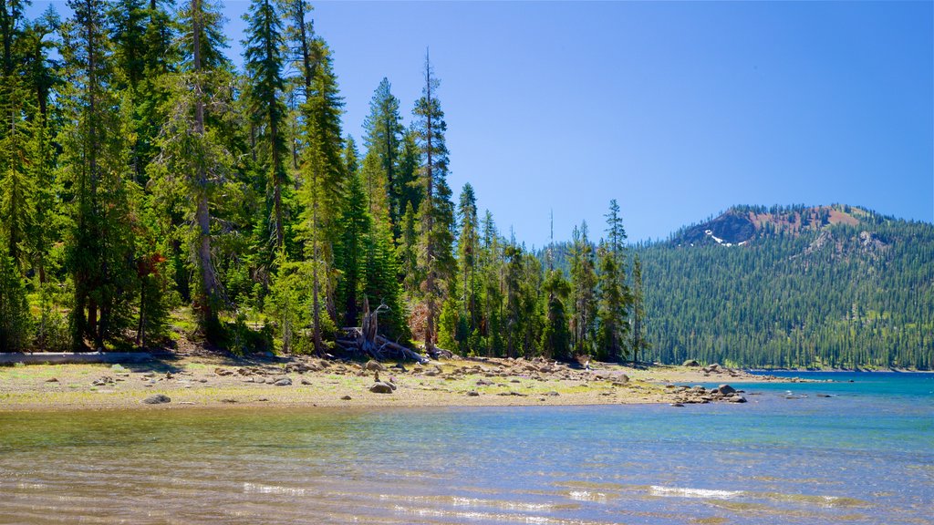 Juniper Lake que incluye un lago o abrevadero