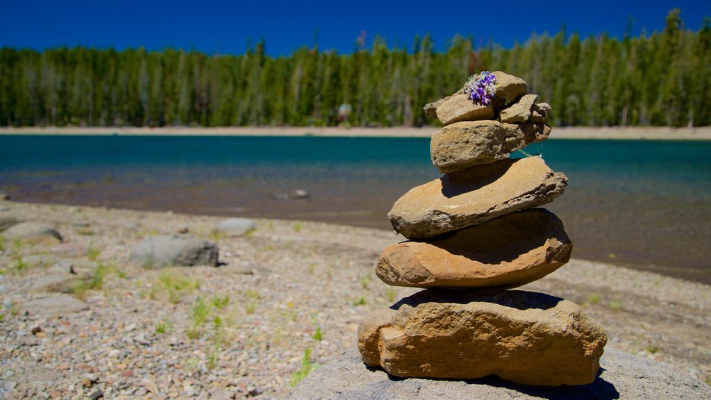 Mill Creek mostrando um lago ou charco