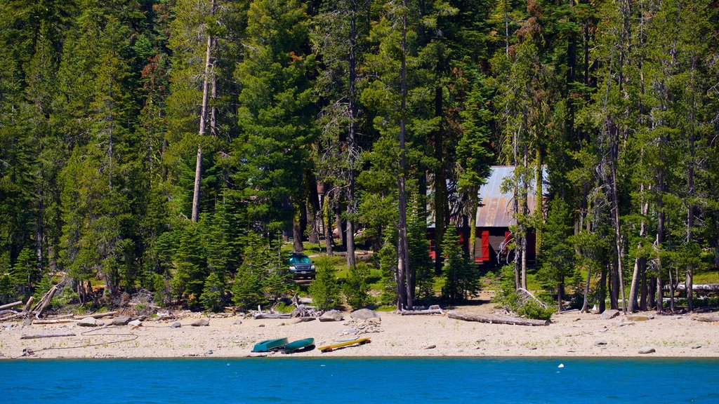 Mill Creek featuring a lake or waterhole and forest scenes