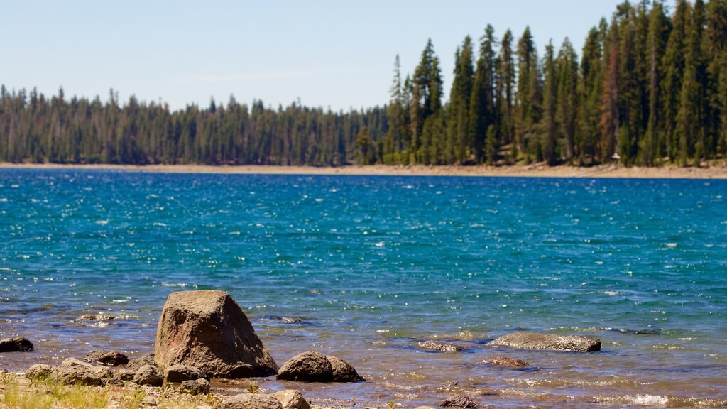 Juniper Lake que incluye un lago o abrevadero