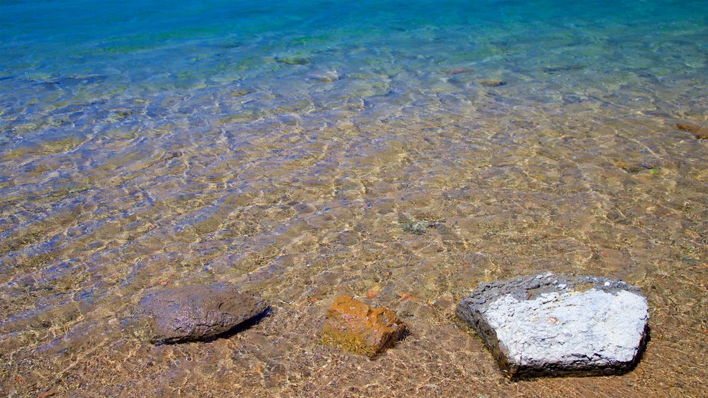 Mill Creek mostrando um lago ou charco e uma praia