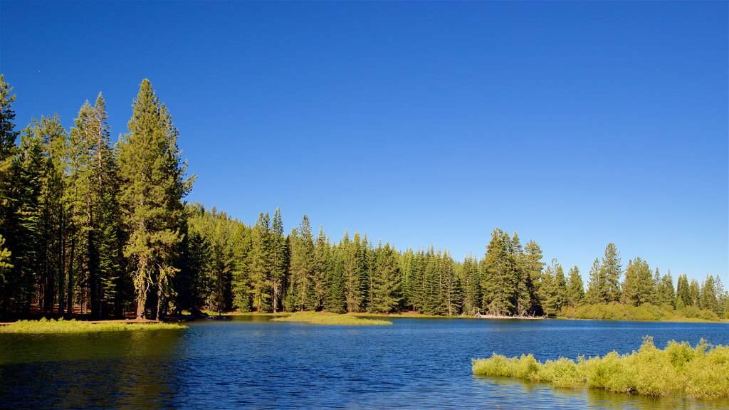 Manzanita Lake showing a lake or waterhole