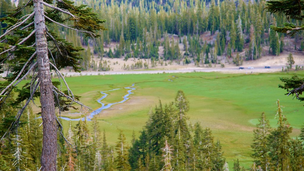 Upper Meadow og byder på en sø eller et vandhul