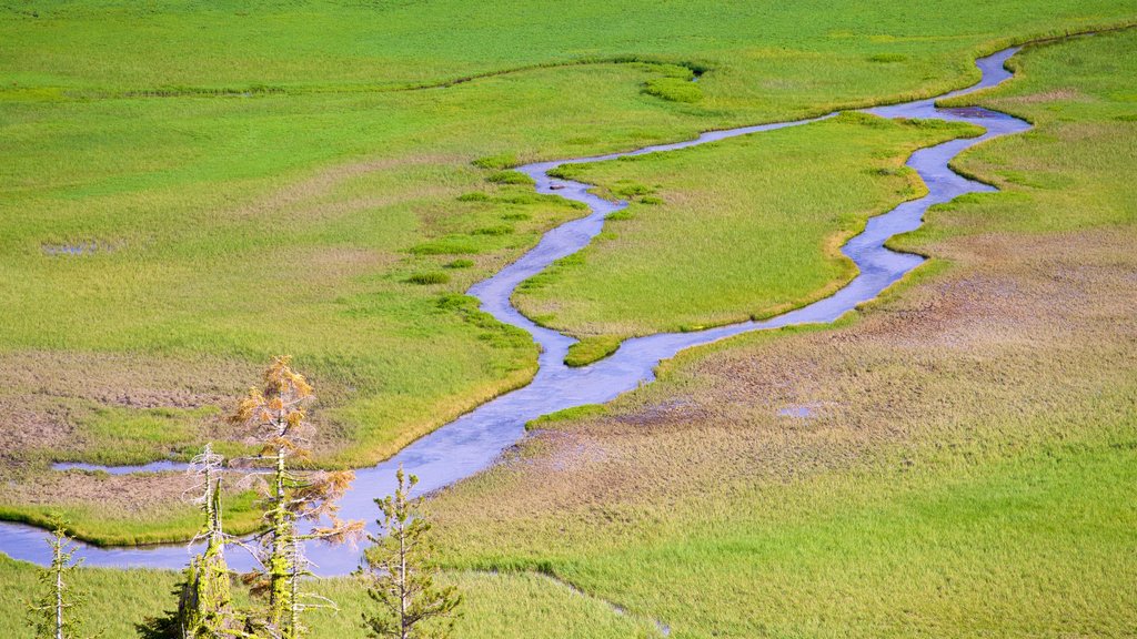 Mill Creek og byder på fredfyldte omgivelser og en flod eller et vandløb