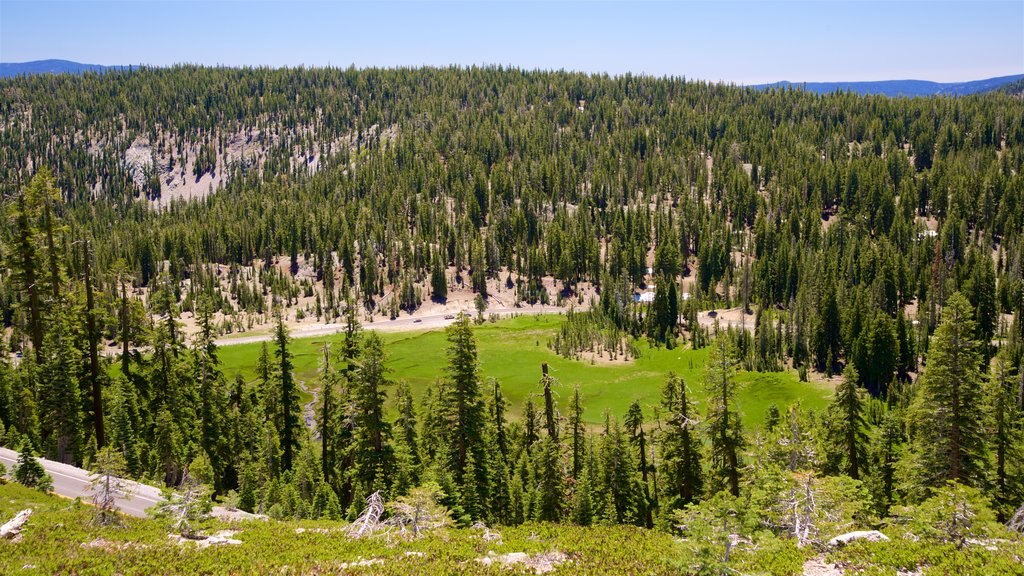 Campo Upper Meadow ofreciendo un lago o abrevadero, escenas forestales y vistas de paisajes