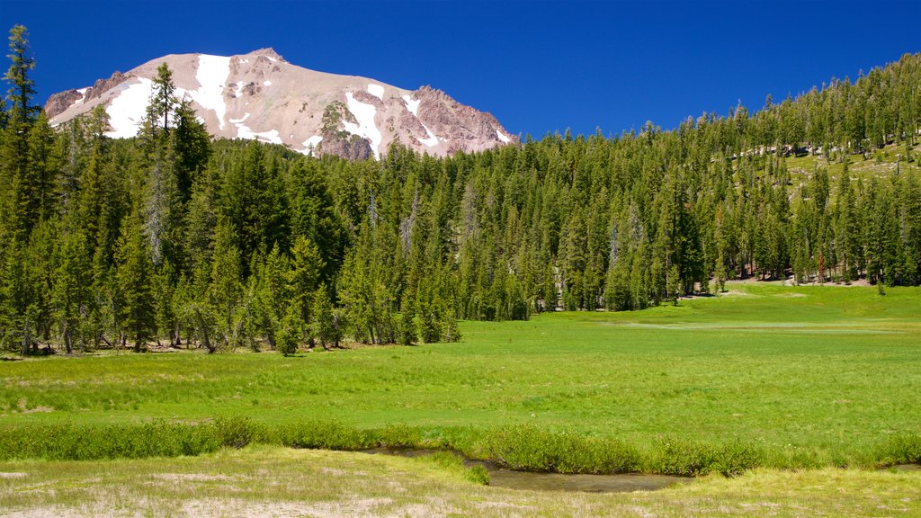 Mill Creek showing tranquil scenes and a river or creek