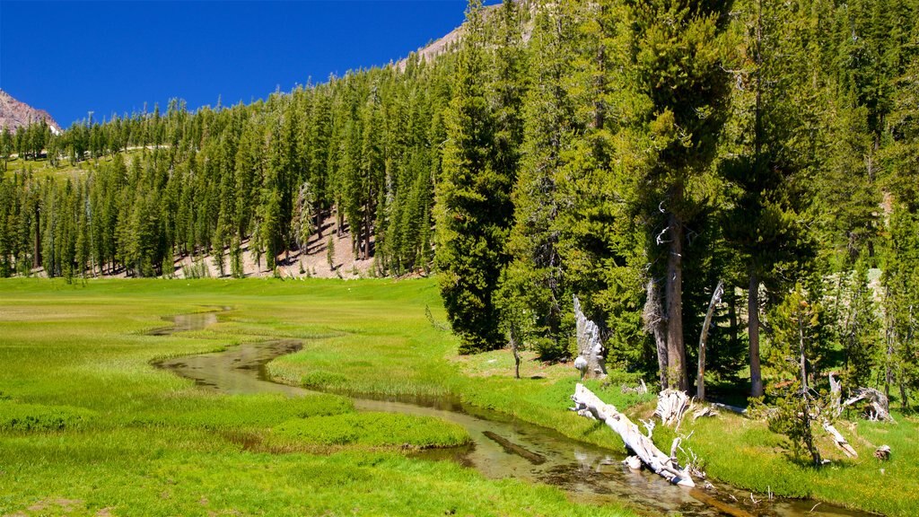 Mill Creek que incluye situaciones tranquilas y un río o arroyo