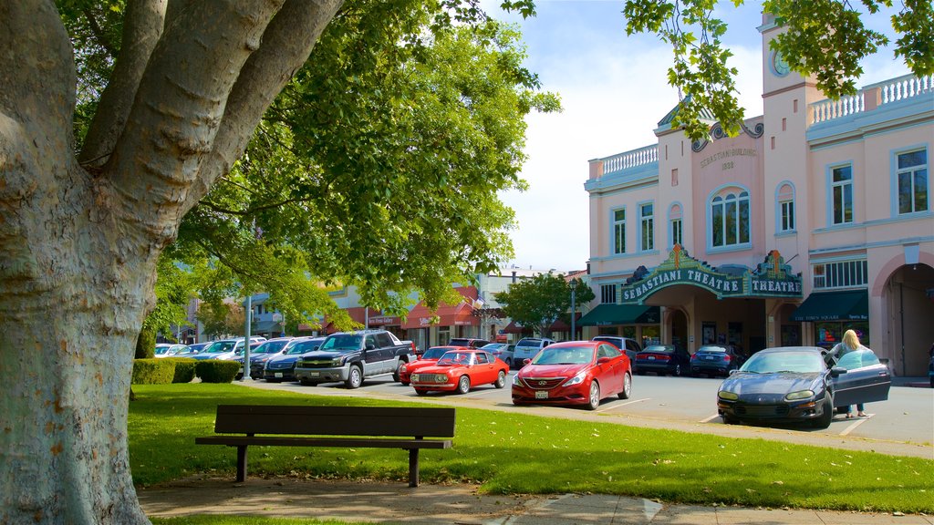 Sonoma Plaza mostrando un parque