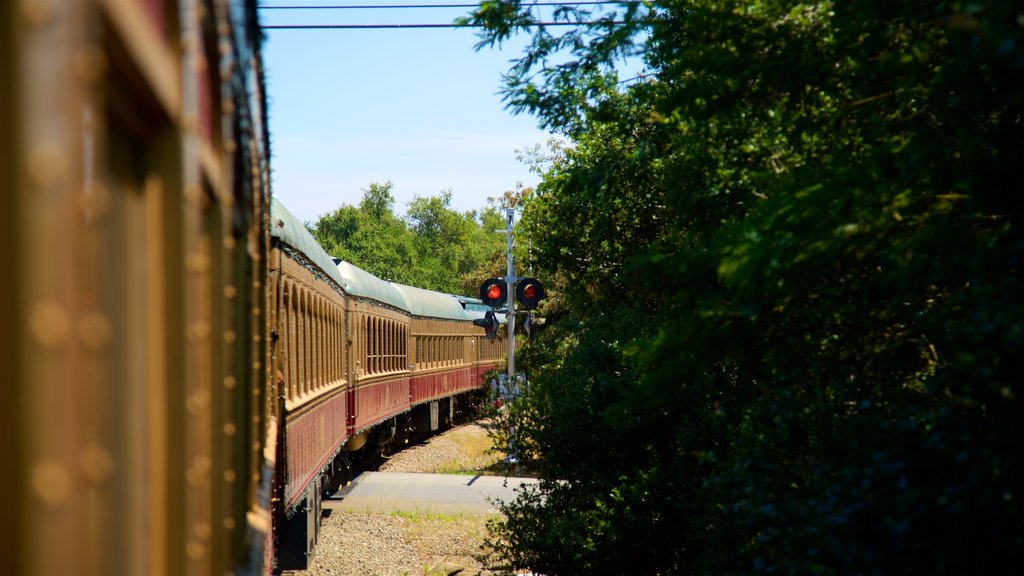 Tren vinícola del valle de Napa mostrando artículos ferroviarios