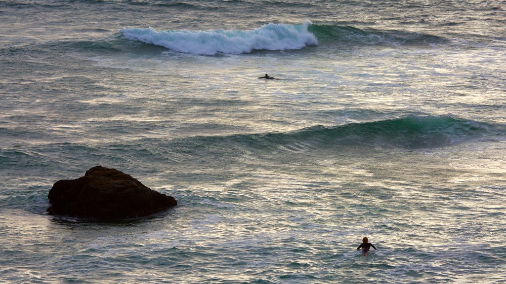 Vallée de Sonoma montrant surf, paysages côtiers et vagues