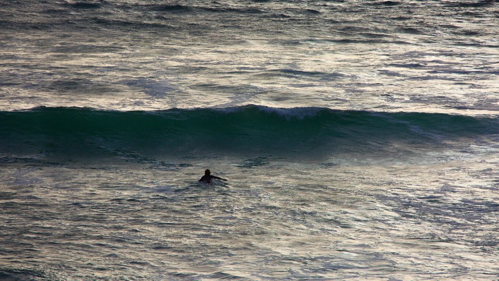 Sonoma County showing waves, surfing and general coastal views