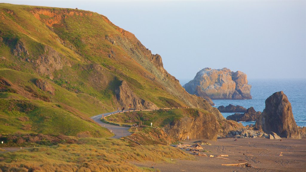 Sonoma County which includes rocky coastline and general coastal views