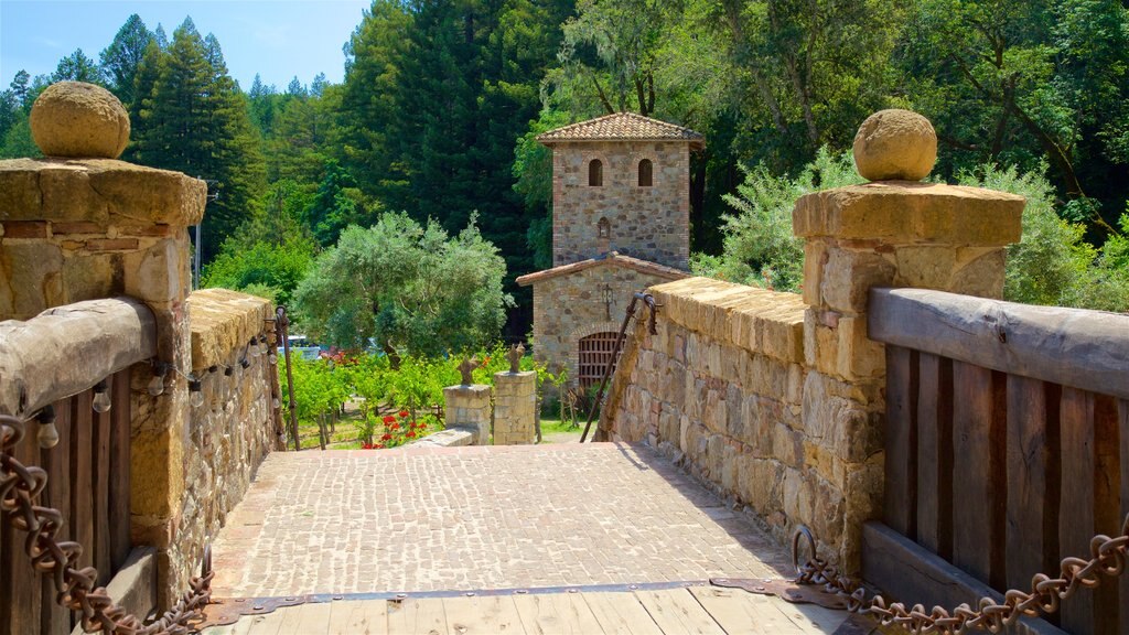 Castello di Amorosa mostrando un parque y elementos del patrimonio