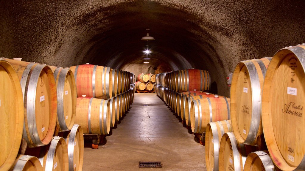 Castello di Amorosa featuring interior views