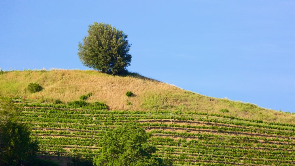 Hess Collection which includes farmland