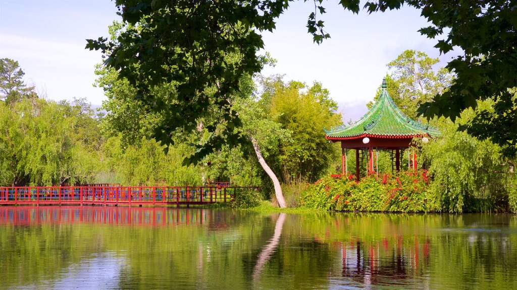 Chateau Montelena Winery showing a bridge, a garden and a lake or waterhole