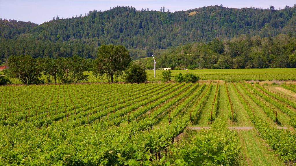 Chateau Montelena Winery showing tranquil scenes and farmland