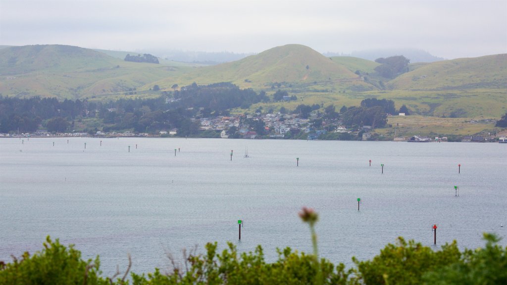 Bodega Head featuring a small town or village, general coastal views and a lake or waterhole