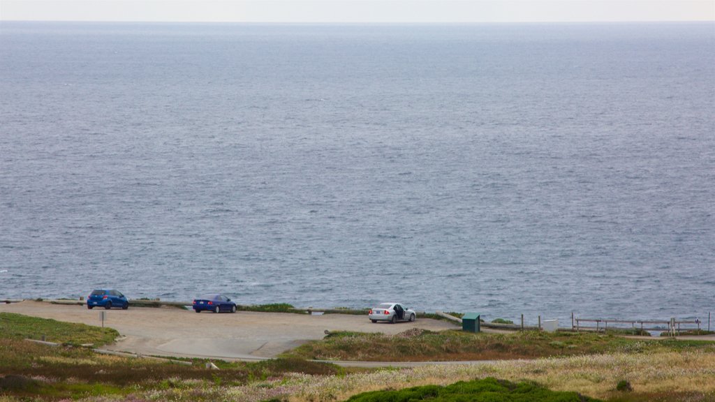 Bodega Head showing general coastal views and views