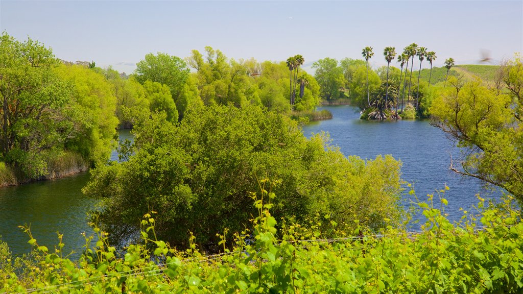 Di Rosa showing wetlands