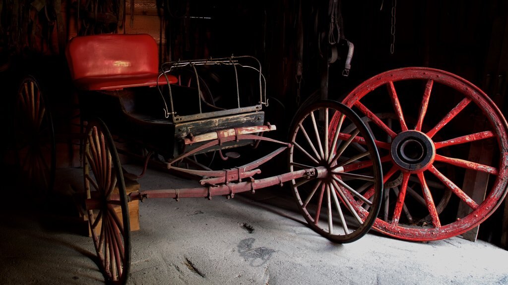 Three Valley Gap Ghost Town showing heritage elements and interior views