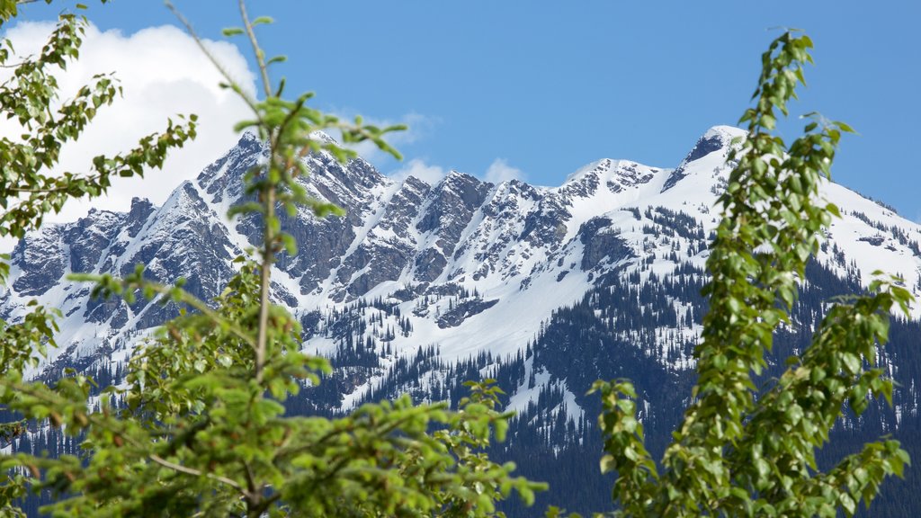 Mount Revelstoke National Park showing mountains and snow