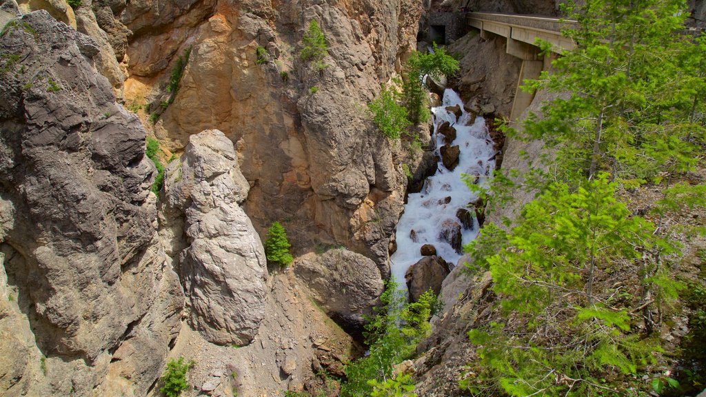 Invermere mostrando una garganta o cañón y rápidos