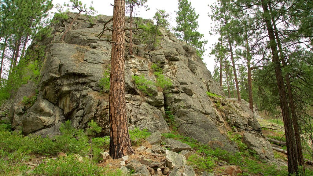 Parc provincial Skaha Bluffs montrant paysages paisibles