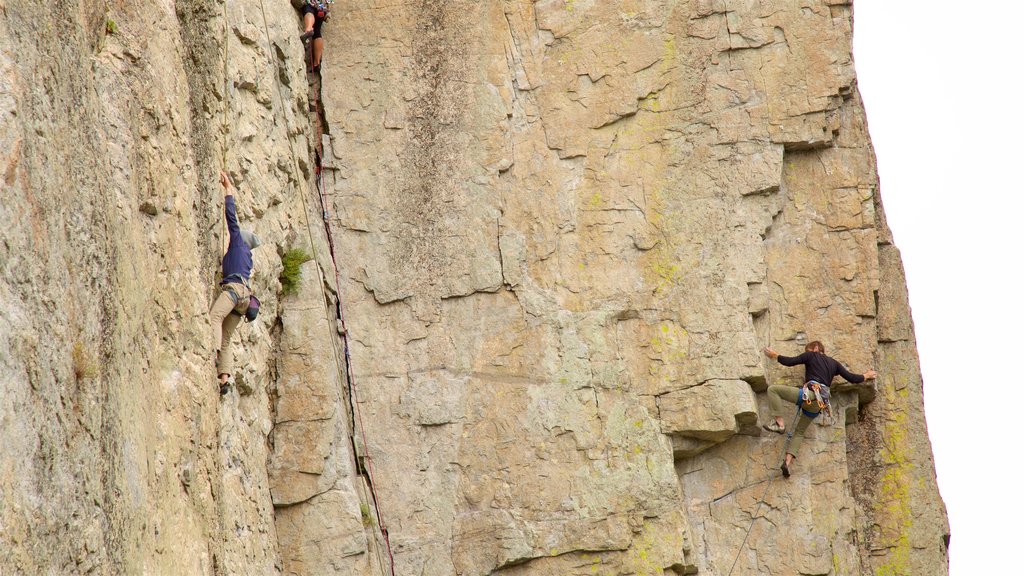 Skaha Bluffs Provincial Park showing climbing as well as a couple