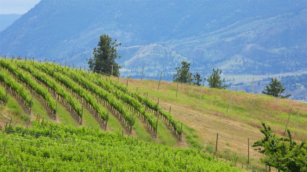 Penticton montrant paysages, terre agricole et paysages paisibles