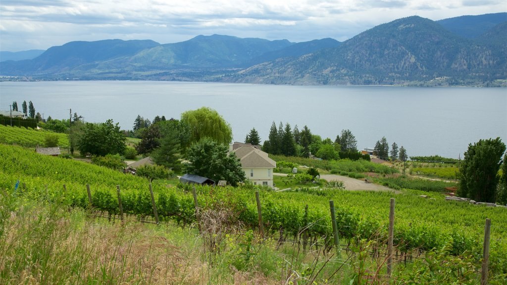 Thompson Okanagan que incluye granja, escenas tranquilas y un lago o espejo de agua