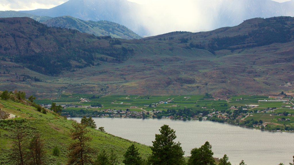 Osoyoos que incluye escenas tranquilas, tierras de cultivo y un lago o abrevadero