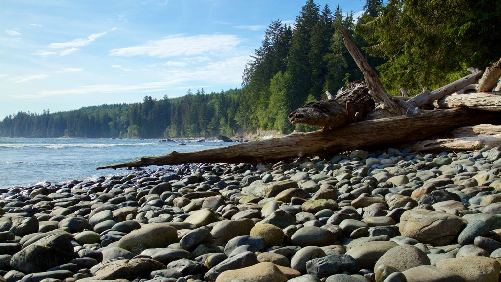 Victoria que incluye un lago o espejo de agua y una playa de piedras