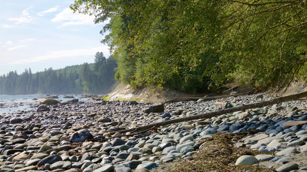 Victoria which includes a lake or waterhole and a pebble beach