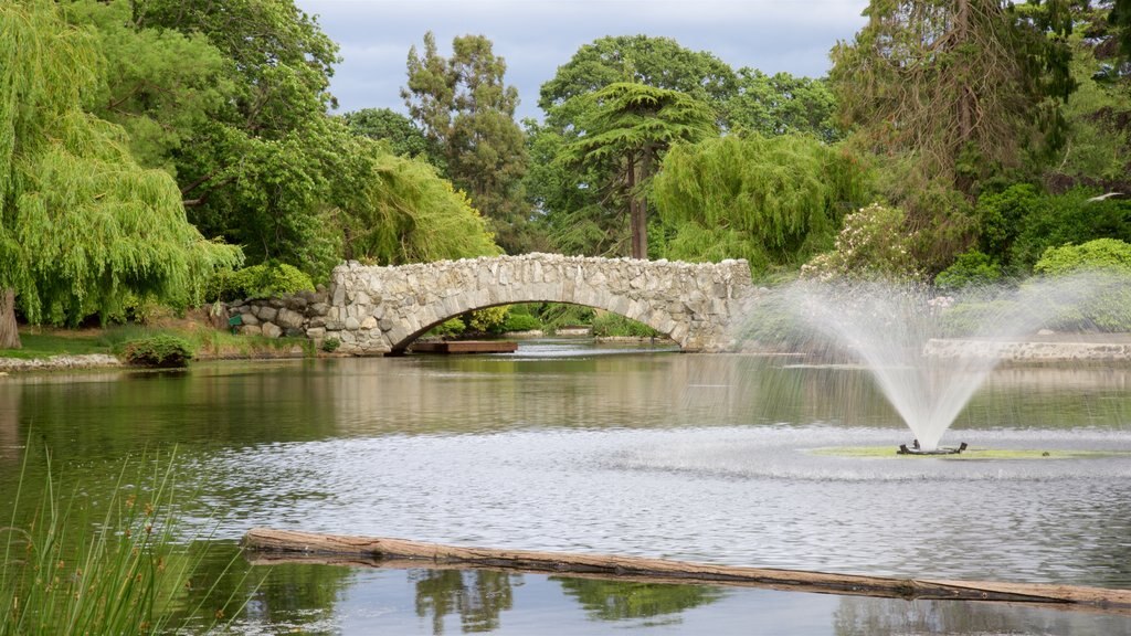 Beacon Hill Park featuring a bridge, a garden and a fountain