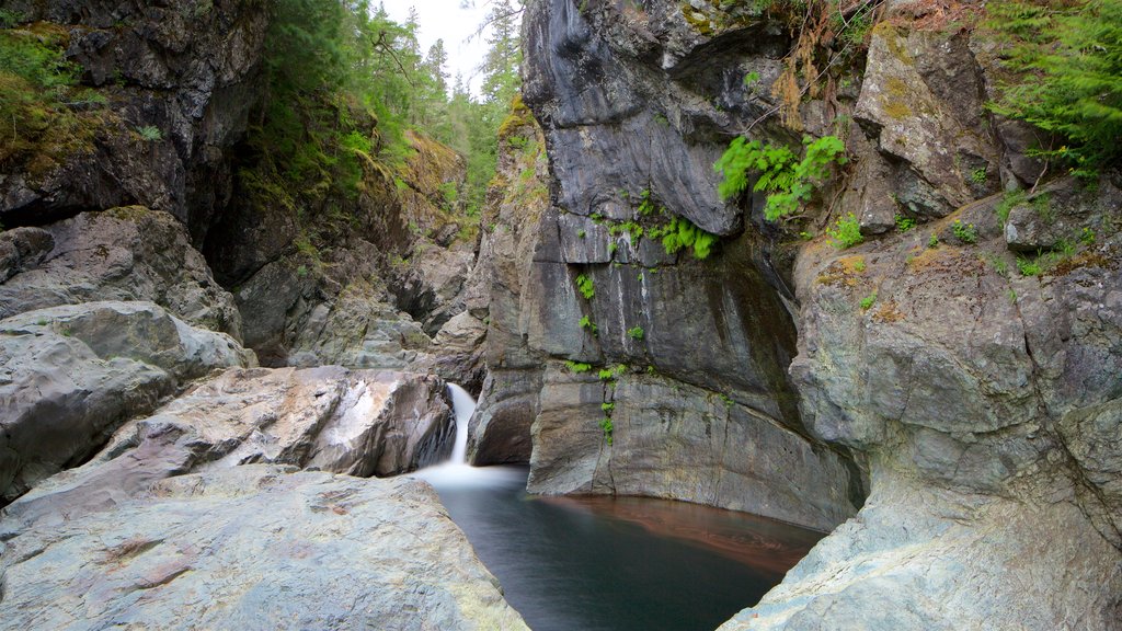 Sooke featuring a river or creek