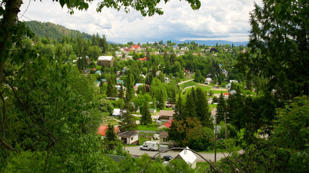 Rossland ofreciendo una pequeña ciudad o pueblo