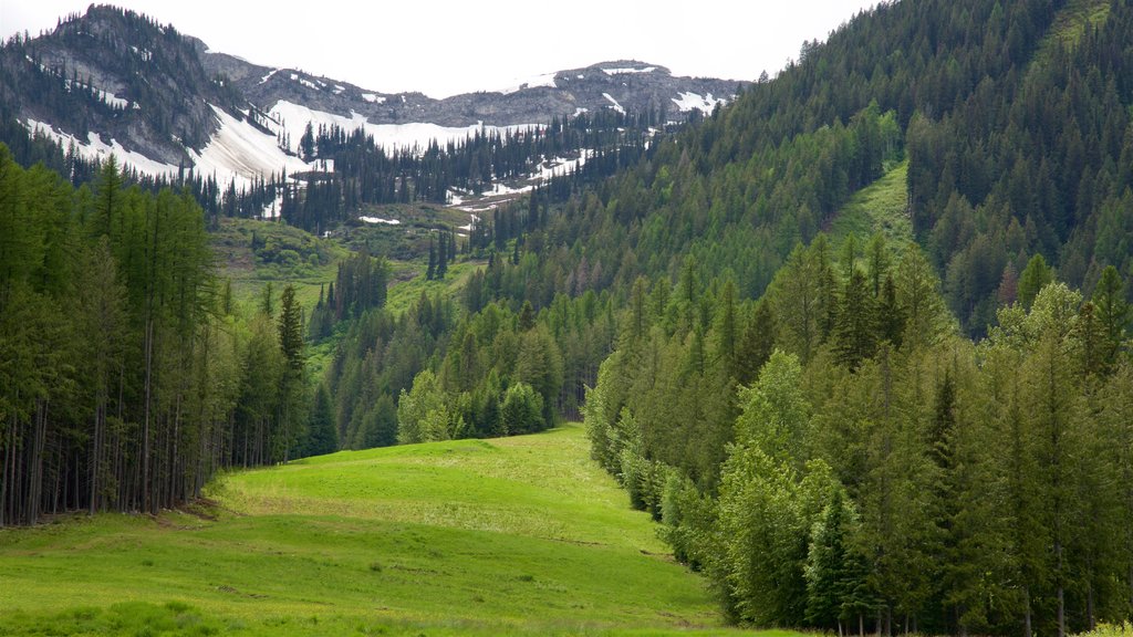 Fernie Alpine Resort ofreciendo escenas tranquilas