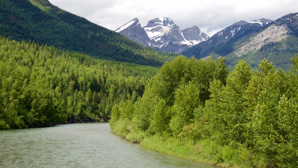 Cranbrook which includes mountains and tranquil scenes