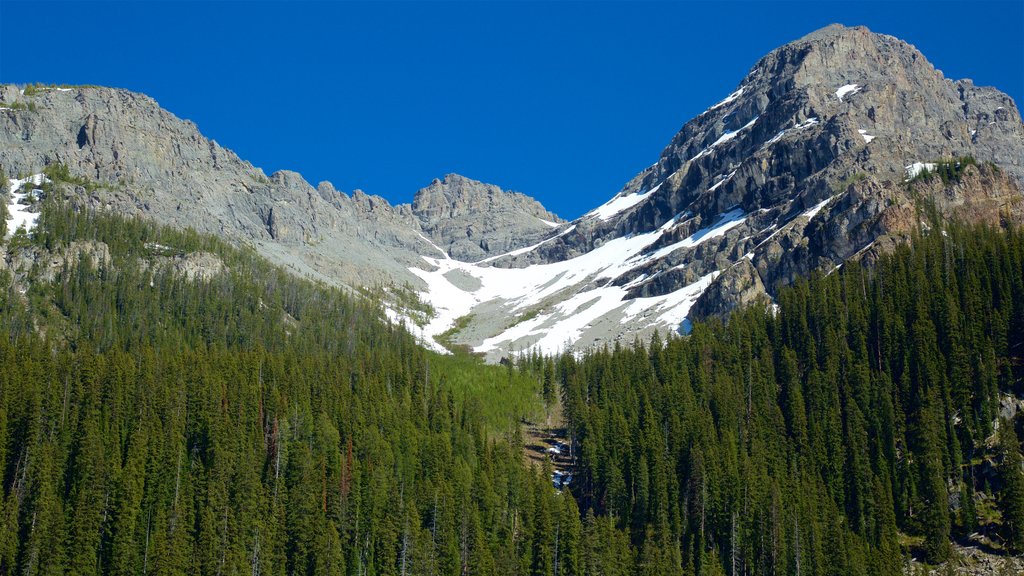 Top of the World Provincial Park which includes tranquil scenes and mountains