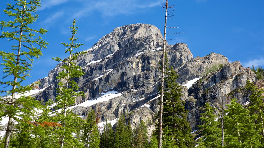 Top of the World Provincial Park which includes mountains