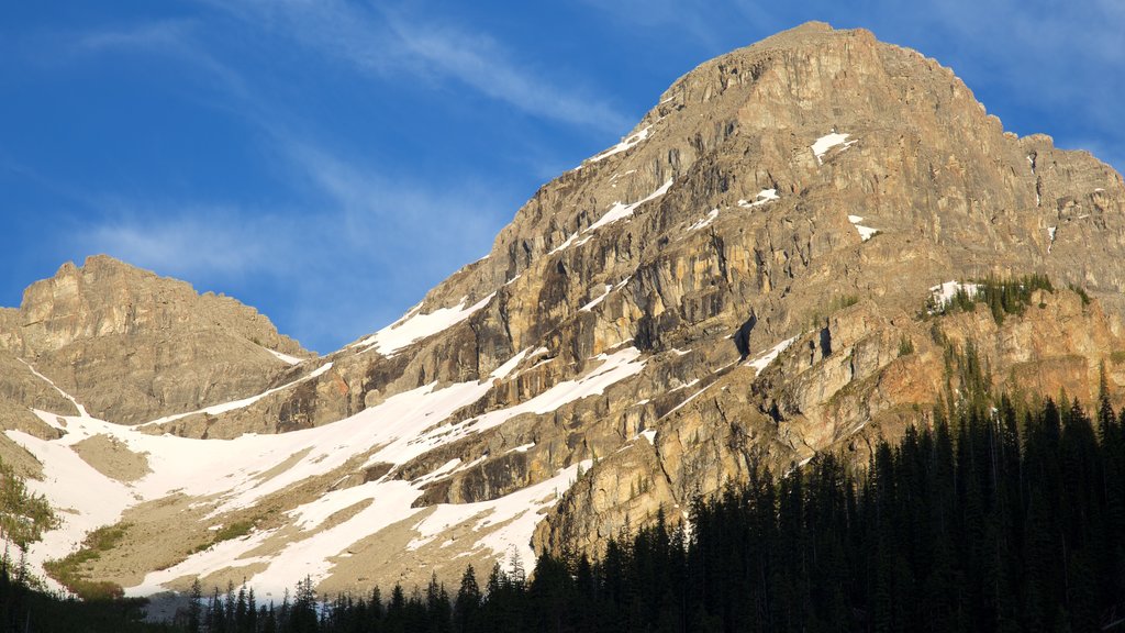 Top of the World Provincial Park which includes mountains