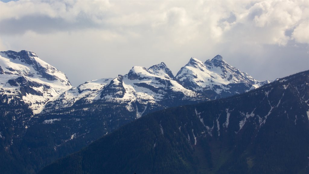 Mount Revelstoke National Park which includes mountains and snow