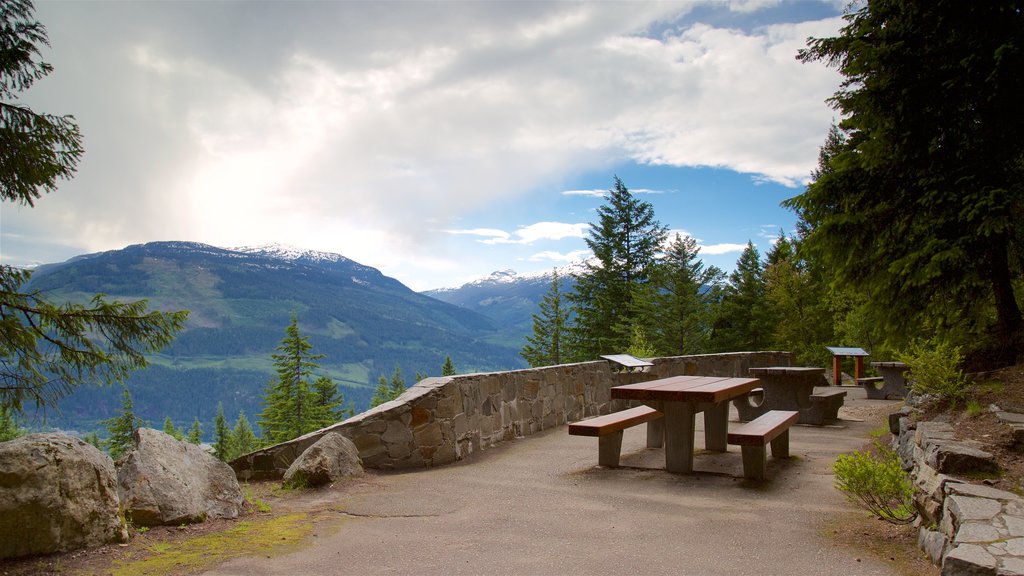 Parc national de Mount Revelstoke mettant en vedette vues et scènes tranquilles